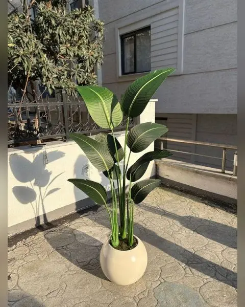 Yapay Starliçe